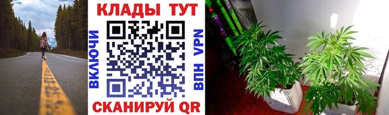Где купить Новодвинск А ПВП Меф мяу мяу АМФ Конопля