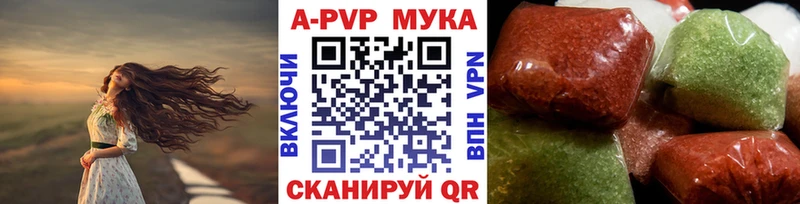закладка  Новодвинск  APVP СК 