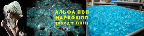 гашик Арсеньев