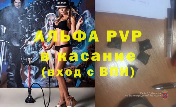 гашик Арсеньев