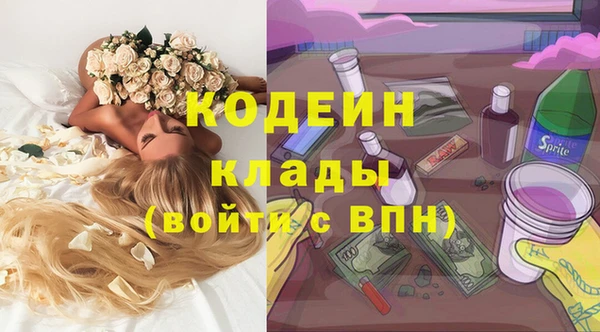 гашик Арсеньев