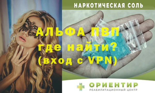 гашик Арсеньев