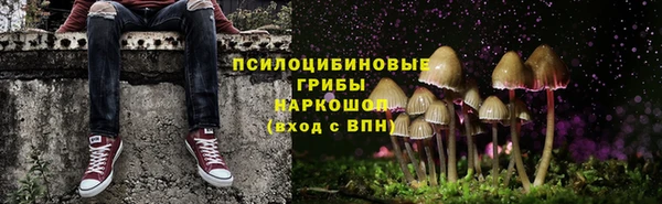 MDMA Premium VHQ Аркадак