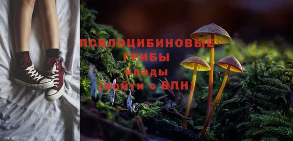 MDMA Premium VHQ Аркадак