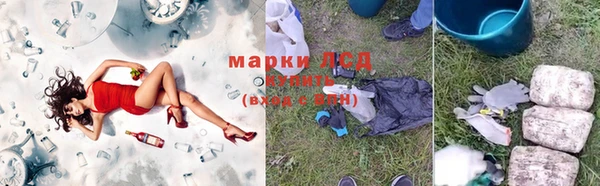 гашик Арсеньев