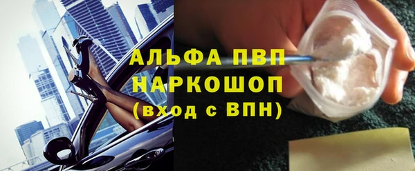 гашик Арсеньев