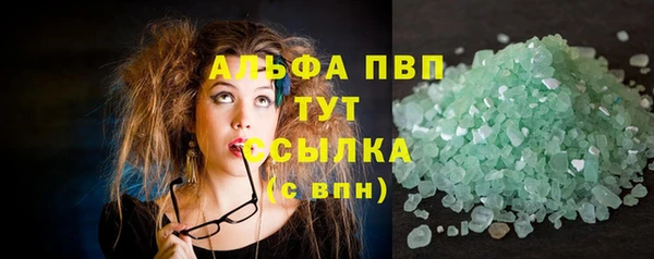 гашик Арсеньев